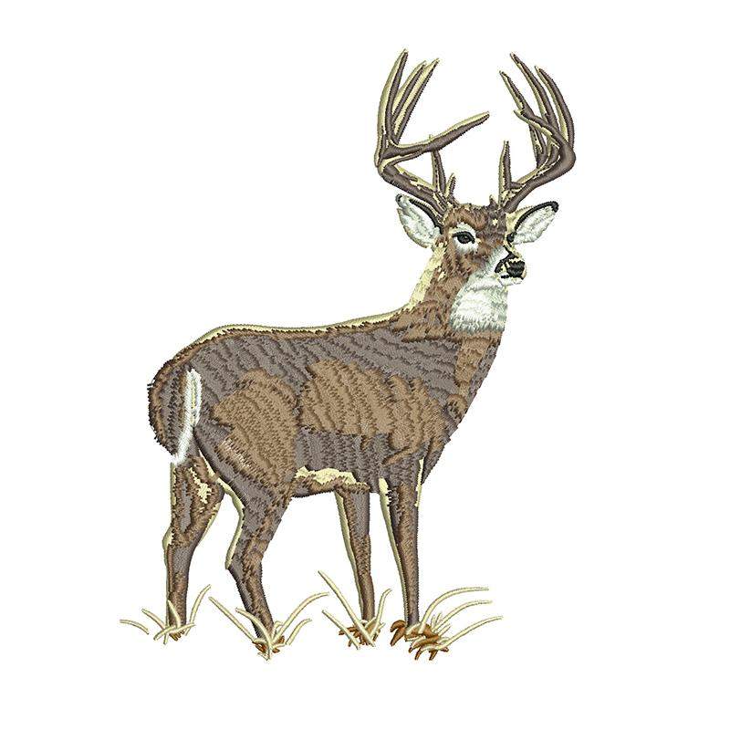 Digitizing